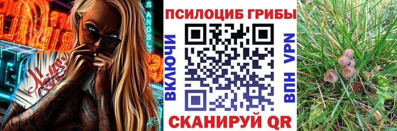 как найти закладки  omg ONION  Псилоцибиновые грибы прущие грибы  Михайлов 